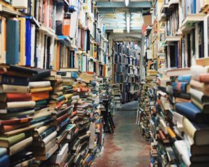 В бюджете-2022 не заложили денег на закупку книг для библиотек - Совсун