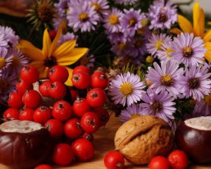 Народні прикмети 23 вересня - сьогодні збирають особливо цілющу ягоду