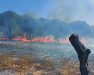 На юге и западе Турции снова вспыхнули лесные пожары