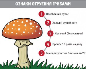 Сколько варить грибы, чтобы стали безопасными