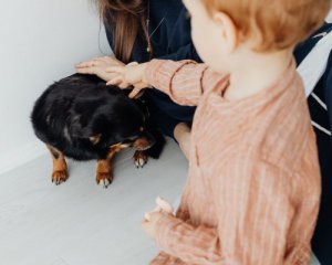 Дети и домашние животные: какое влияние оказывают друг на друга