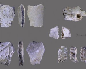 Археологи нашли древнейшие в регионе остатки человека