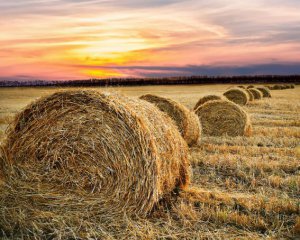 Народні прикмети 7 жовтня: що треба зробити аби прикликати достаток