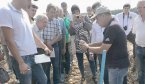 Українці переходять на кольорову картоплю