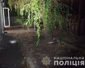 Настоящий фильм ужасов: в Харькове пять собак загрызли 81-летнюю женщину