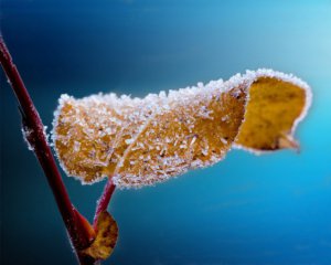 Суне похолодання: з понеділка прогнозують до -9°С