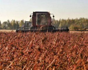 В Украине собрали рекордный урожай гречки