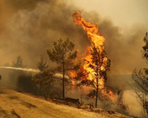 Российских туристов в Турции обвинили в поджоге леса