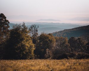 В Україні стався землетрус