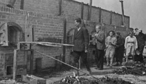 За день уничтожили всех евреев города