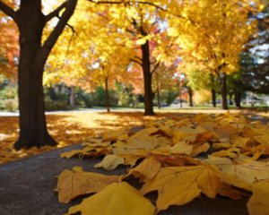 Україну накриє осіннє тепло. Температура підскочить до +20°C