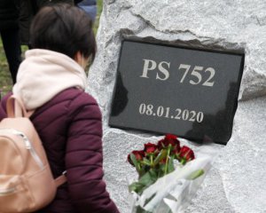 Український посол не братиме участі у слуханнях щодо збиття літака МАУ в Ірані