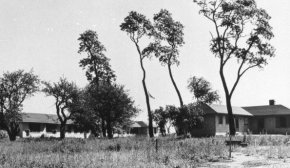 У школі шпигунів вчили вбивати парасолькою і олівцем