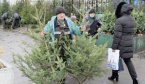 Рік Тигра зустрічають у чорно-золотистому одязі