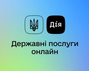 В Украине официально запустили проект  &quot;єПідтримка&quot;