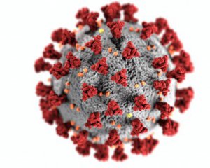 Ученые нашли людей с &quot;супериммунитетом&quot; против коронавируса