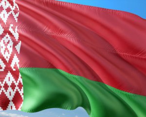 В Беларуси обнародовали новый проект Конституции