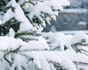 На Україну суне снігопад