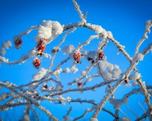 Від -24°C до різкого потепління: коли й де зміниться погода