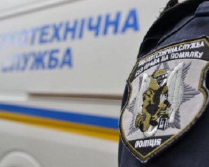 У Києві два аеропорти під загрозою вибуху: з&#039;їхалися кінологи й вибухотехніки