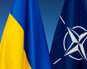 Україні треба трохи часу, щоби вступити в НАТО - Держдеп США