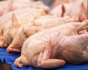 Евросоюз разрешил импорт украинской курятины