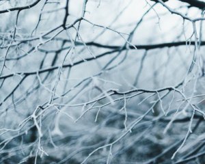 Яким вчинком ризикуєте сьогодні прикликати злидні: прикмети 23 січня