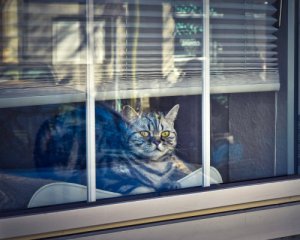 Який вчинок сьогодні може "прогнати" від людини щастя на сім років