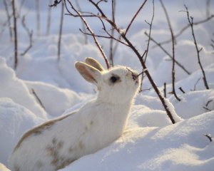 Як сьогодні примиритися з ворогами - прикмети 12 лютого