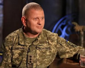 Україна не планує обстрілів чи наступальних операцій на Донбасі - головнокомандувач ЗСУ