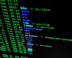 22 февраля украинские сайты могут атаковать хакеры