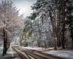 Холод і дощі зі снігом: де погіршиться погода