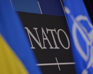 Петиция к НАТО о закрытии неба собрала необходимые голоса