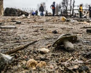 Из-за войны РФ против Украины погибли десятки детей, еще 100 ранены – Денисова