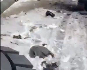 Теробороновцы под Сумами "насыпали" оккупантам и захватили трофеи