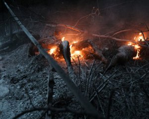 &quot;Я не розумію, чого Путін сказав йти? Вони їб*шать нас, як с*к останніх&quot; - перехопили розмову окупанта