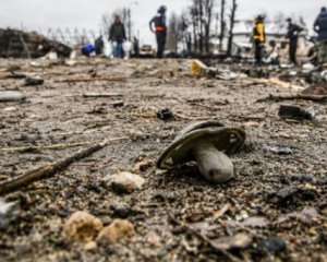 ООН підрахувало кількість поранених і загиблих мирних громадян в Україні