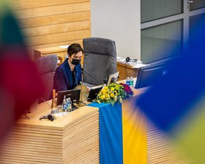 Сейм Литвы поддержал закрытие неба над Украиной