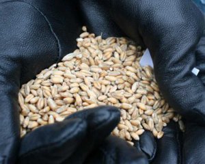 Чи вистачить Україні продовольства: в Офісі президента зробили заяву