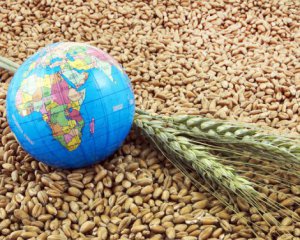 Украинское зерно будут экспортировать другими путями