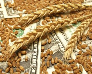 Нашли выход как продавать украинское зерно за границу