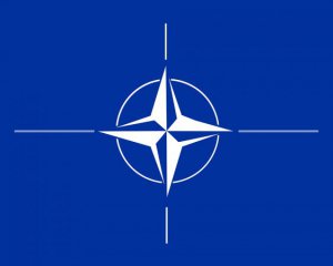 Позиции стран НАТО по поводу отношений с РФ разделились - The New York Times