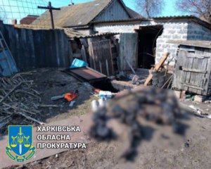 На Харківщині росіяни закатували селян та підпалили їхні тіла