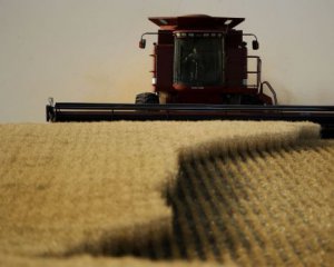 Третина українських полів непридатна для посіву - ООН