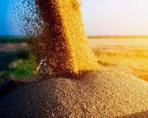 Росія планує вивезти зерно з захоплених  територій - Денісова