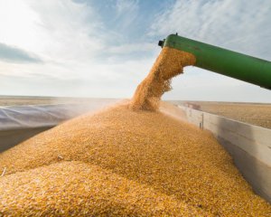 У РФ офіційно дозволили красти зерно із захопленої Херсонщини