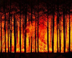 Окупанти на Херсонщині не дозволяють загасити пожежу в лісах - можуть згоріти селища