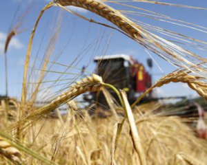 Окупанти вивозять награбоване зерно в Крим під керівництвом спецслужб