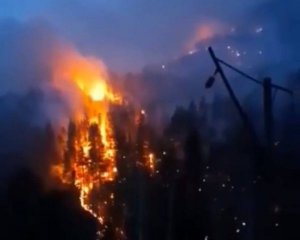 Сибір і Урал у вогні: показали відео