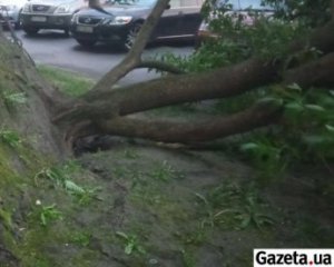 Буревій на Чернігівщині позривав дахи та знеструмив тисячі осель